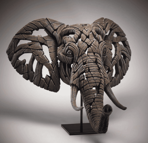 Elefante – Image 2